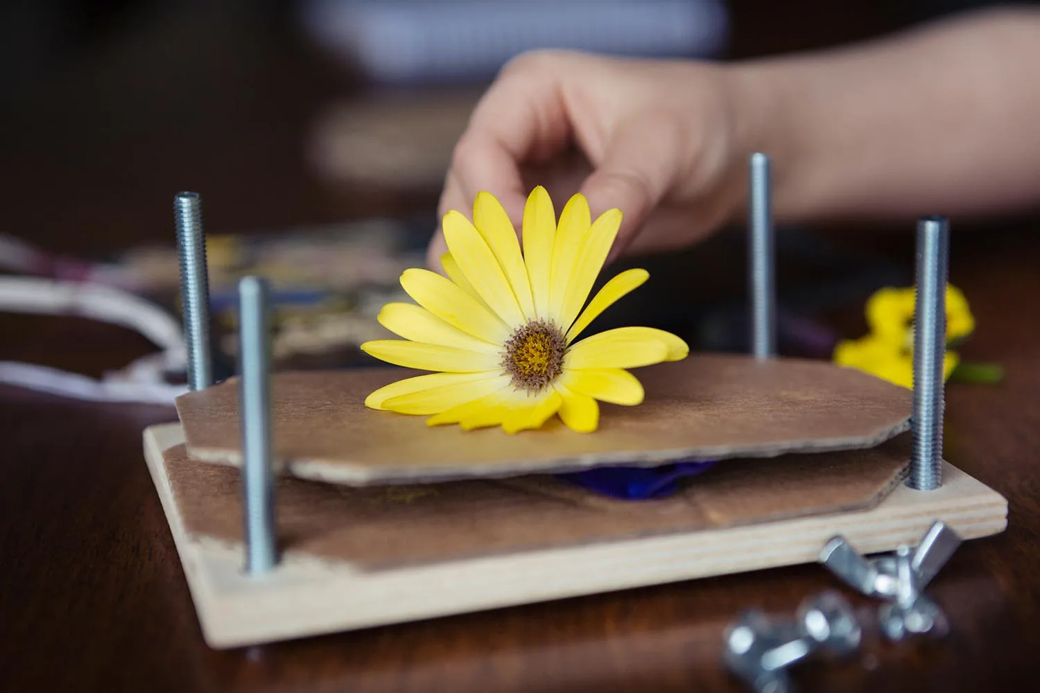 flower press
