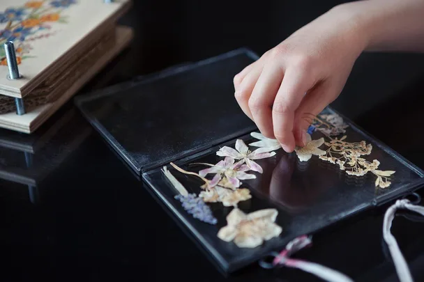 pressed flower in glass frame
