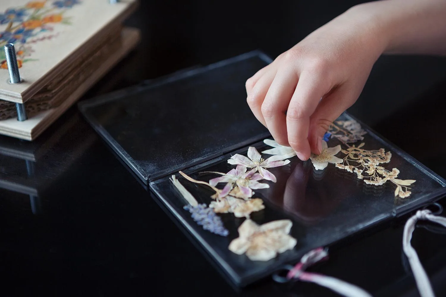 pressed flower in glass frame