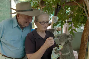 Donate to FAWNA and Koalas in Care Here