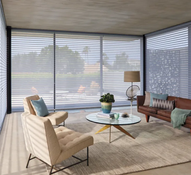 Luxaflex Silhouette blinds