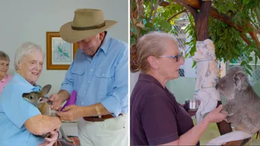 Dr Harry meets the wildlife workers caring for injured koalas