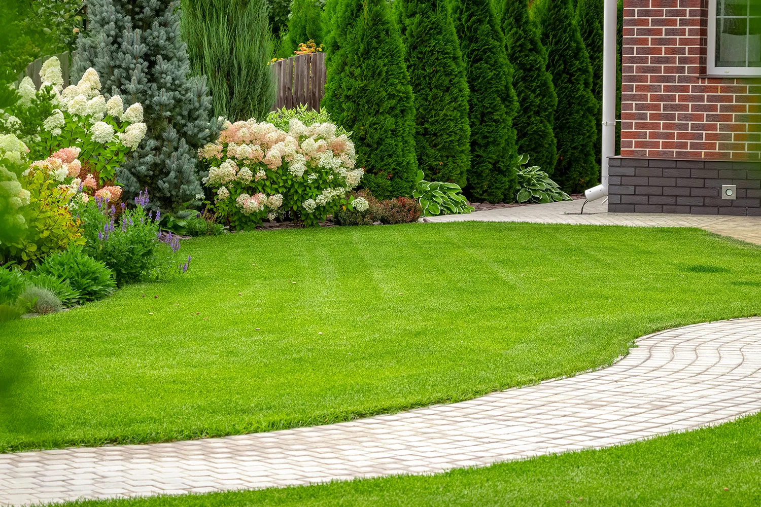 green lawn