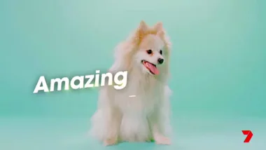 Pooch Perfect promo
