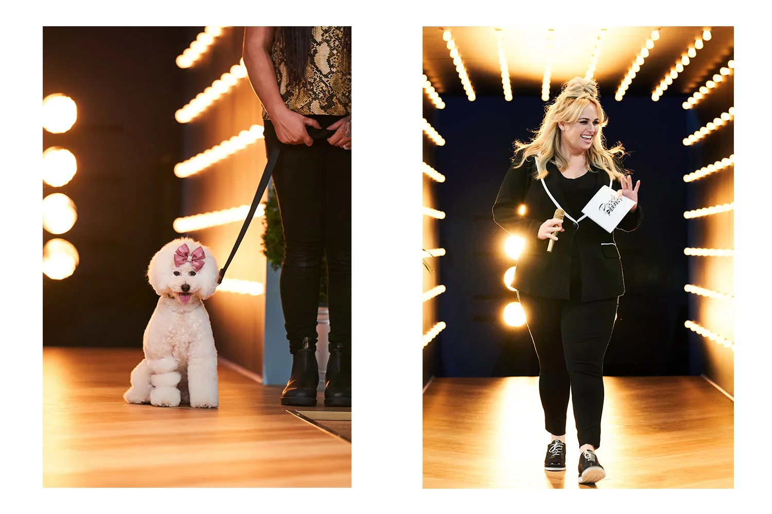 rebel wilson