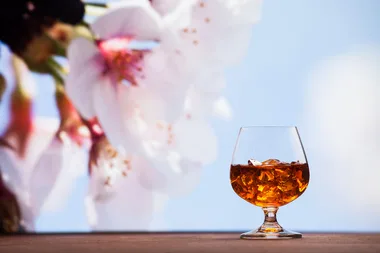 How to pick a top-notch rum and serve it correctly