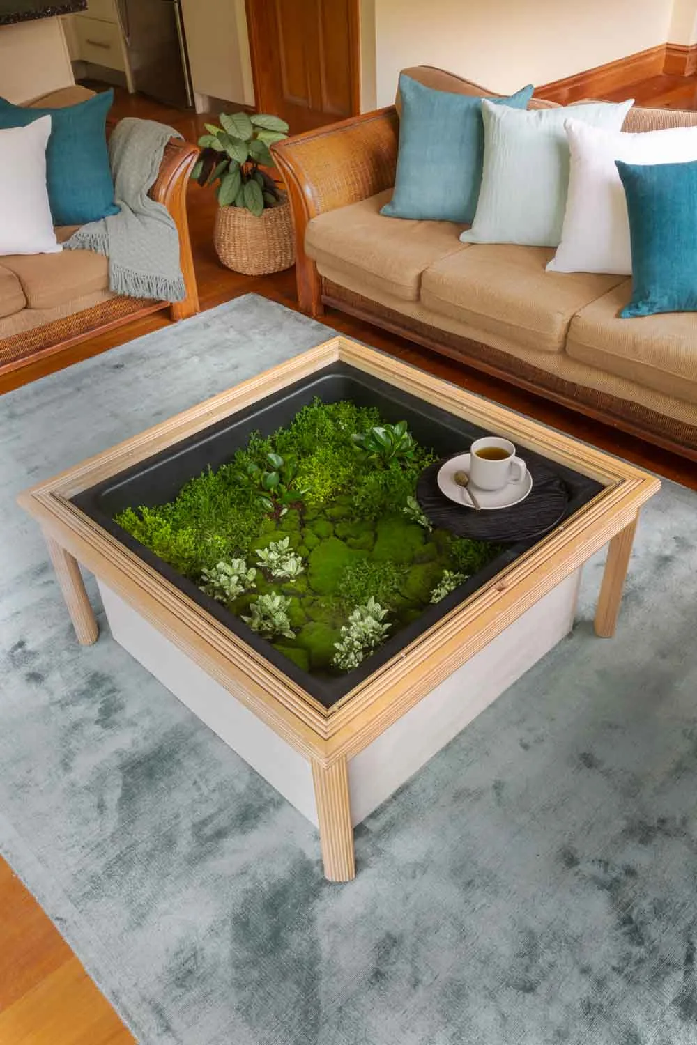 Coffee table terrarium