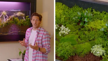 Charlie Abone upcycles a coffee table and a fish tank