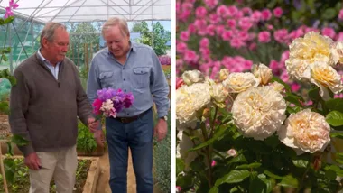 Graham visits Bob Cherry’s garden