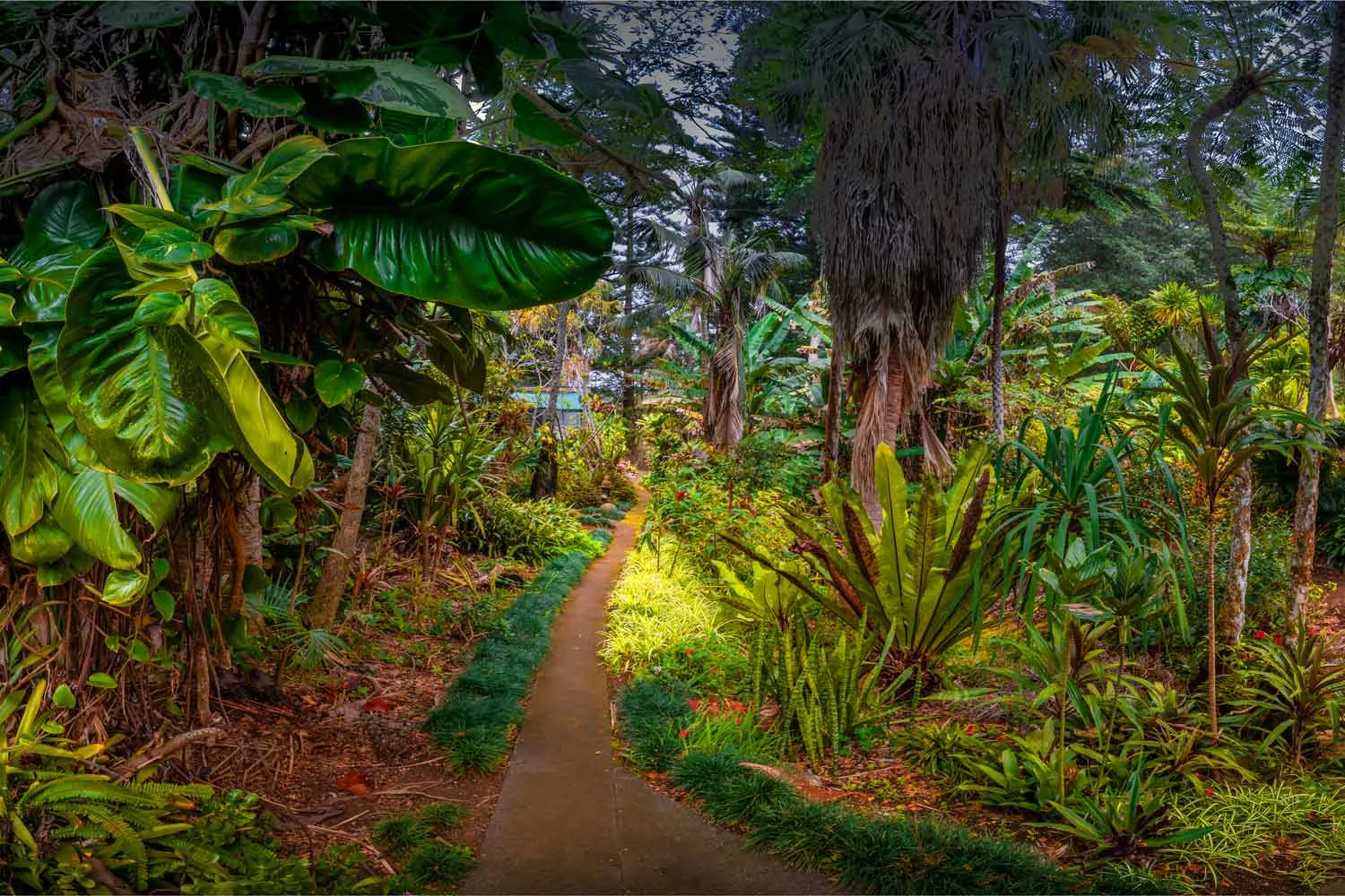 Norfolk Island special part two