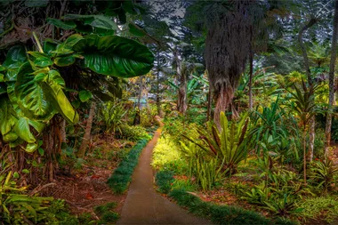 Norfolk Island special part two