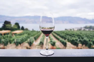 wine glass