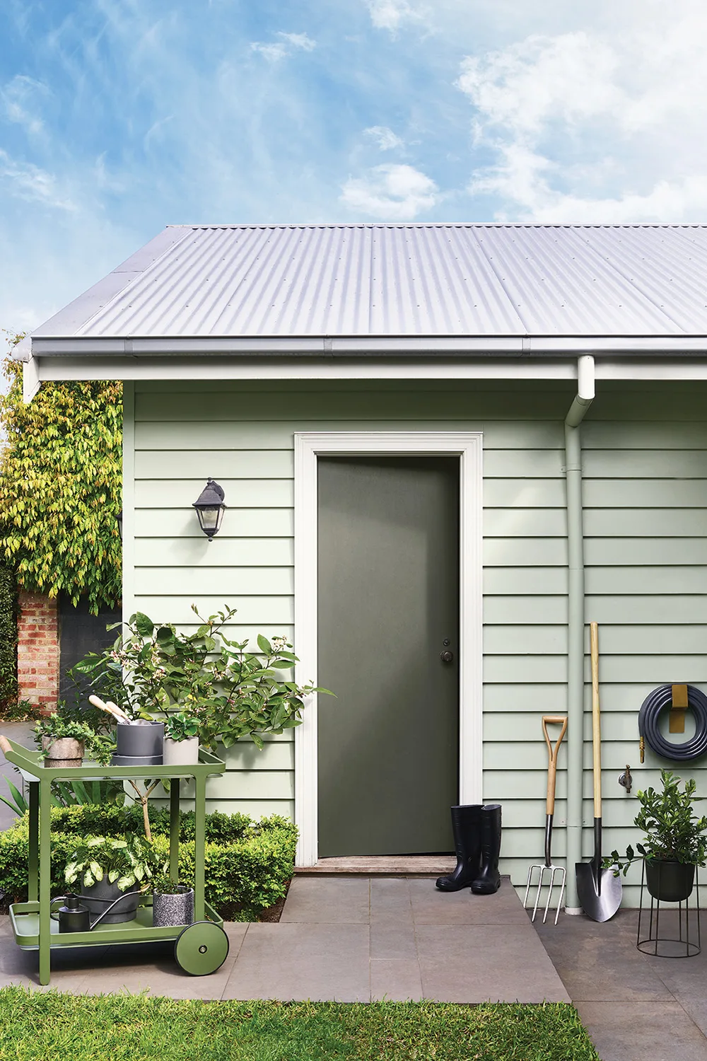 green shed