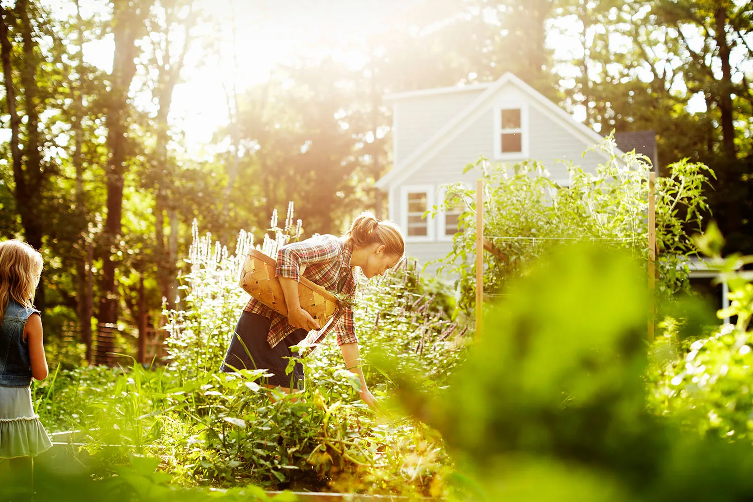 gardening