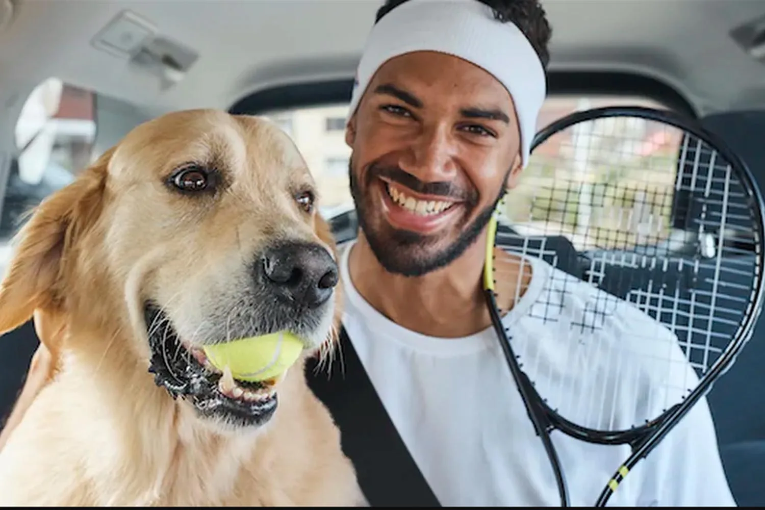 dog and man in car