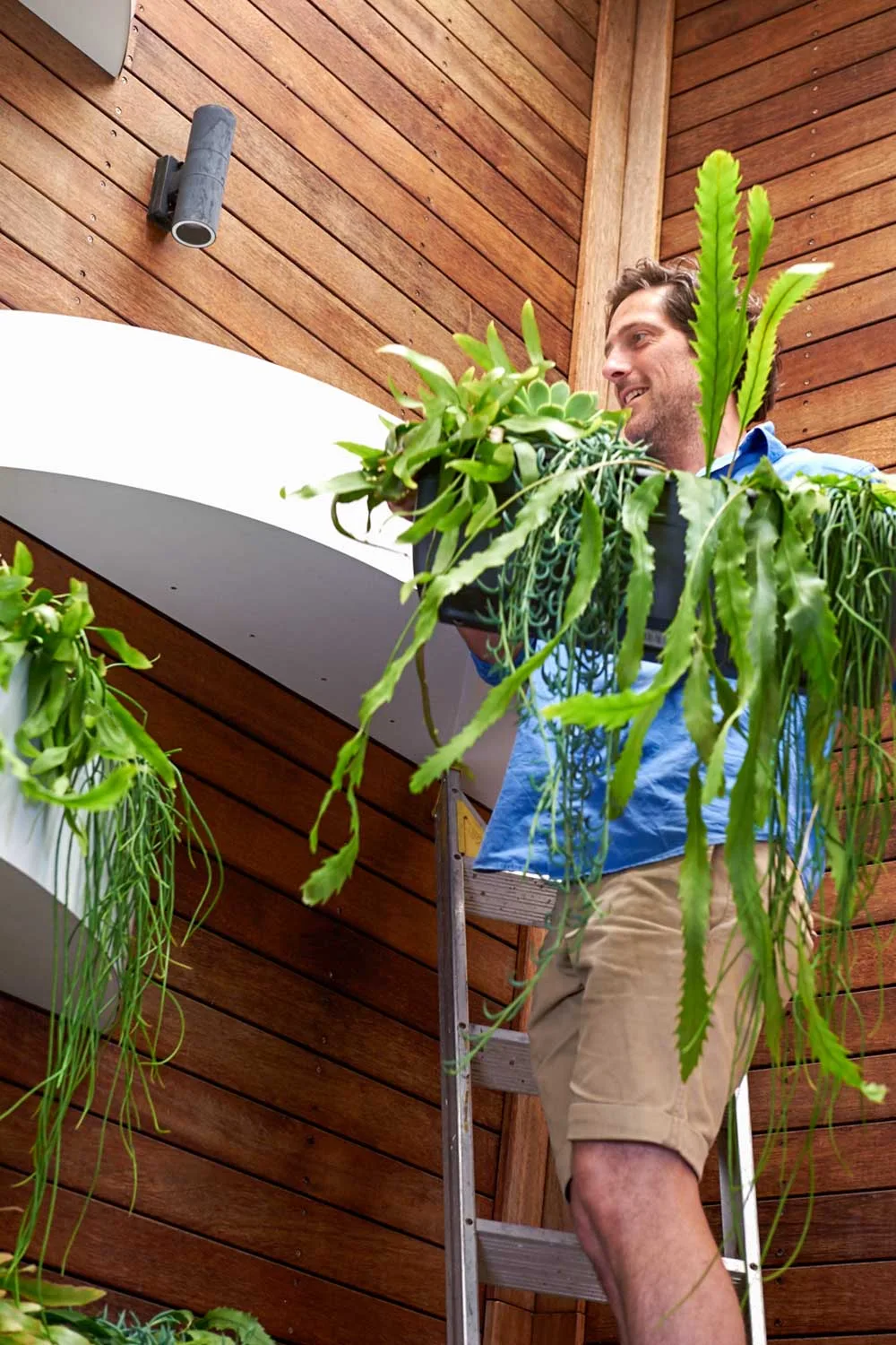 Easy step to build a wall planter: step 18