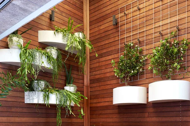 Green wall with curved wall planters