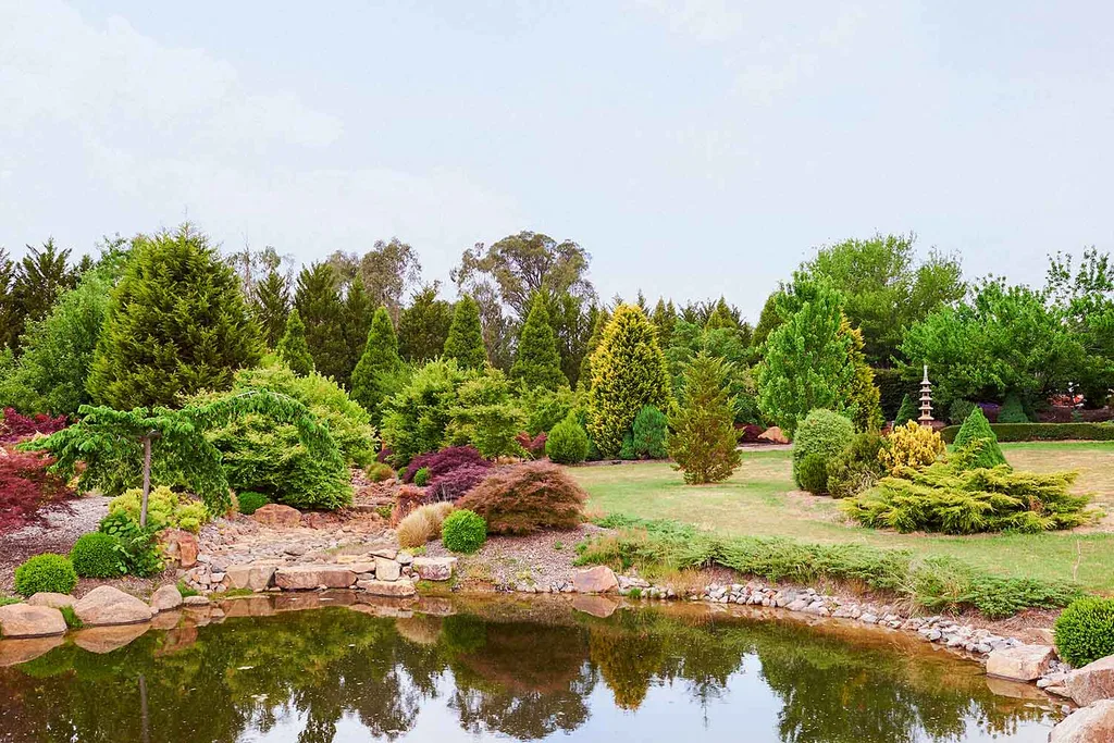 Japanese style garden
