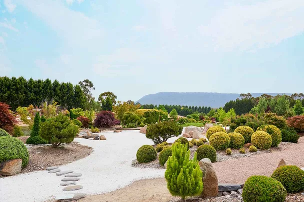 Zen garden