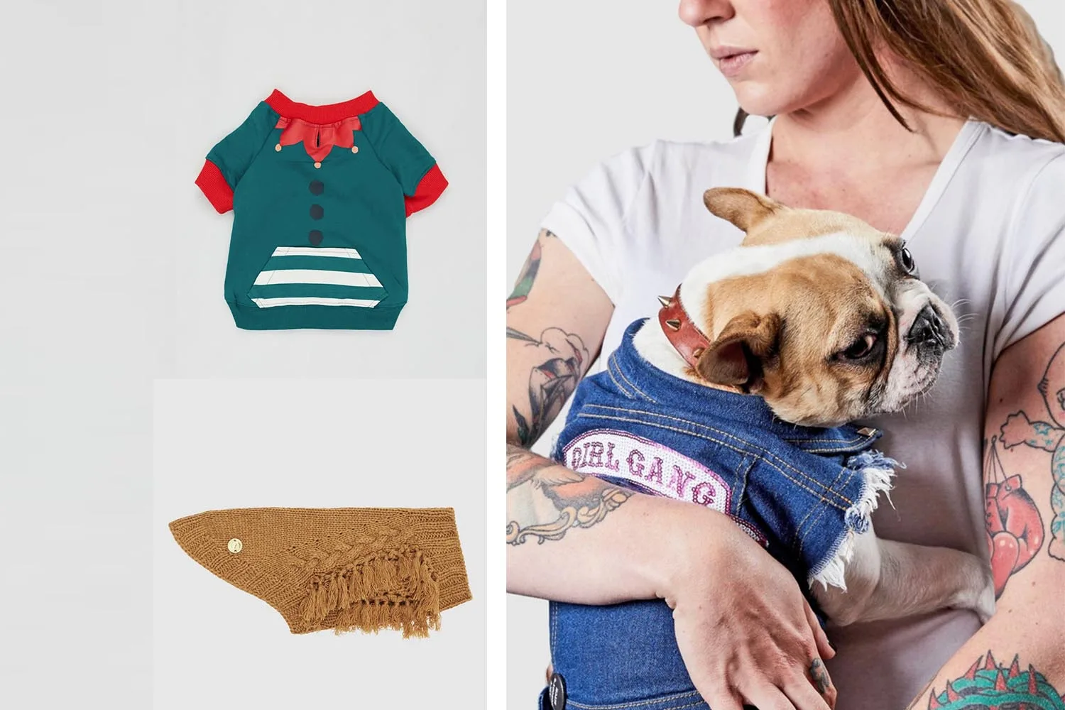 dog accessories