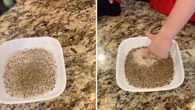 Fun and great way to teach kids how to avoid germs and viruses