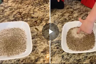 This is the best way to teach your kids about germs