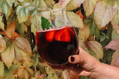 How to make a red wine spritz mocktail