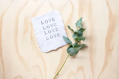 Plantable stationery
