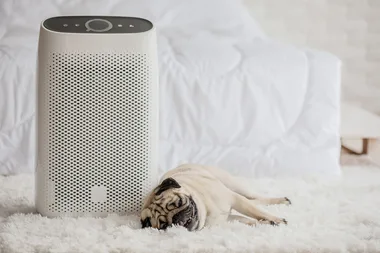 Should you buy an air purifier?