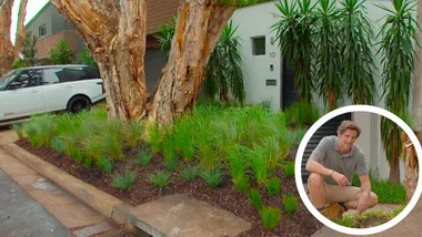 Charlie’s low-maintenance and good-looking lawn alternative