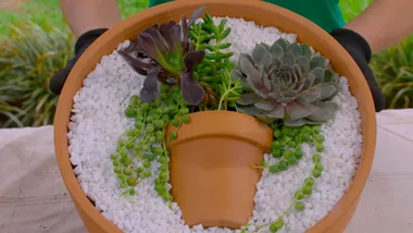 How to create a colourful garden for spring