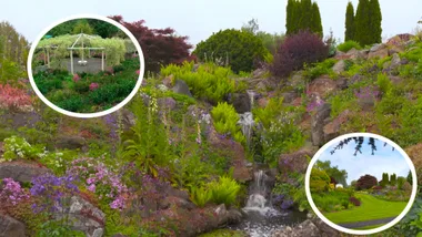 Graham visits Kaydale Lodge Gardens