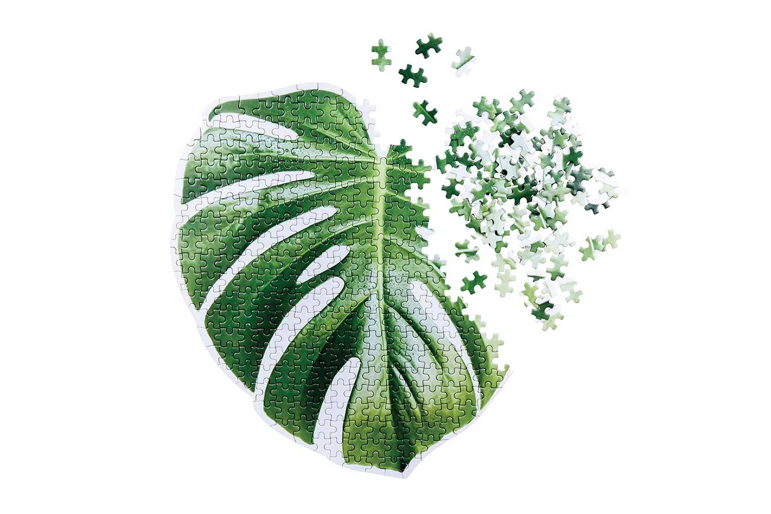 Leaf puzzle
