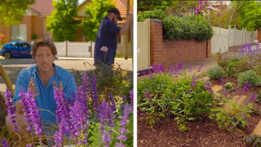 Charlie gives a verge a garden makeover