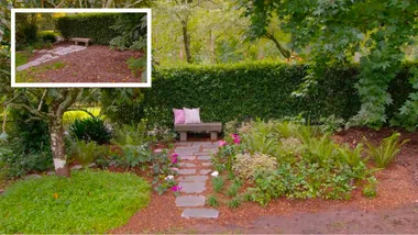 What to plant under a shady tree with Charlie