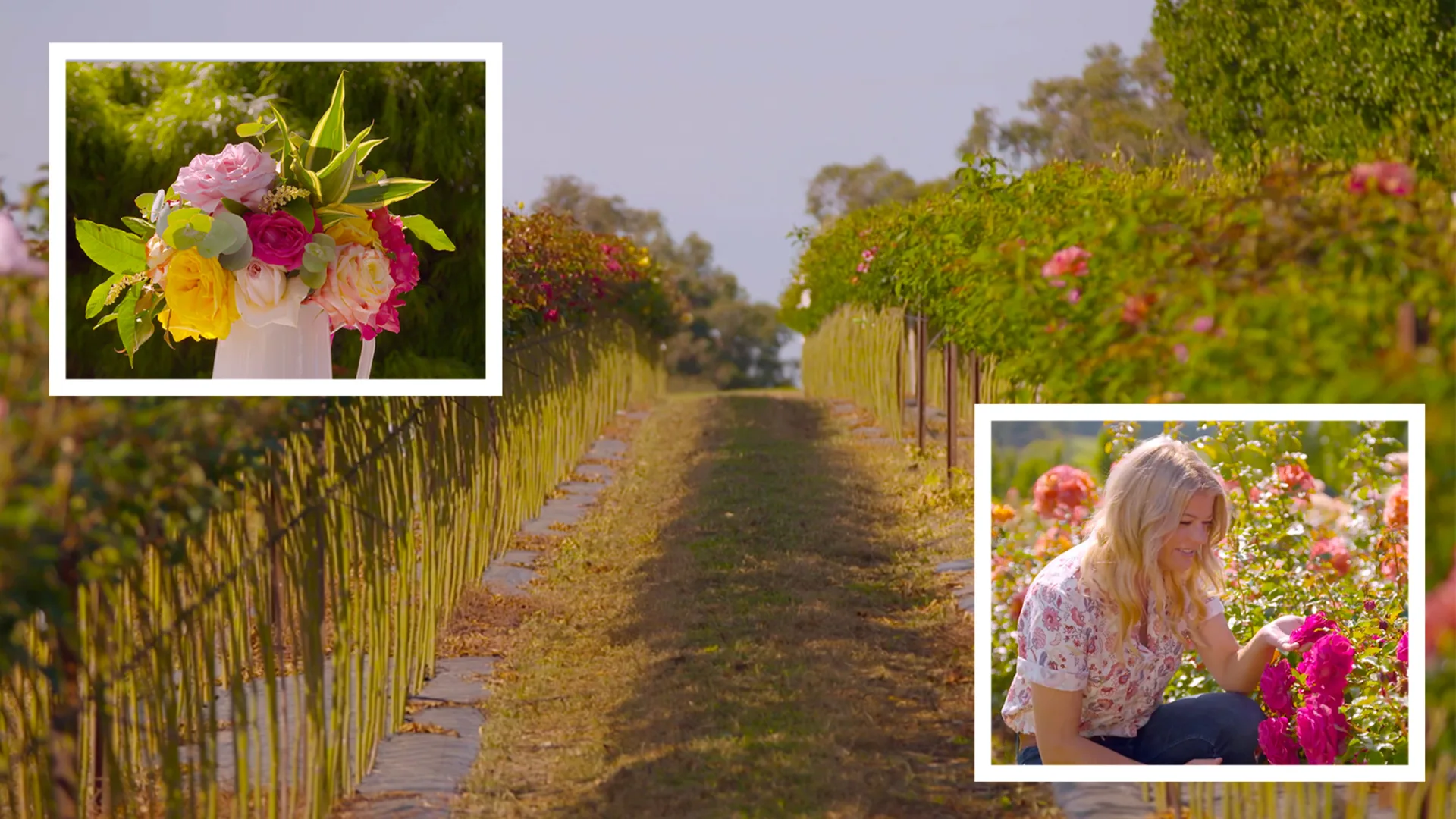 Melissa visits Rankins Roses in Gippsland