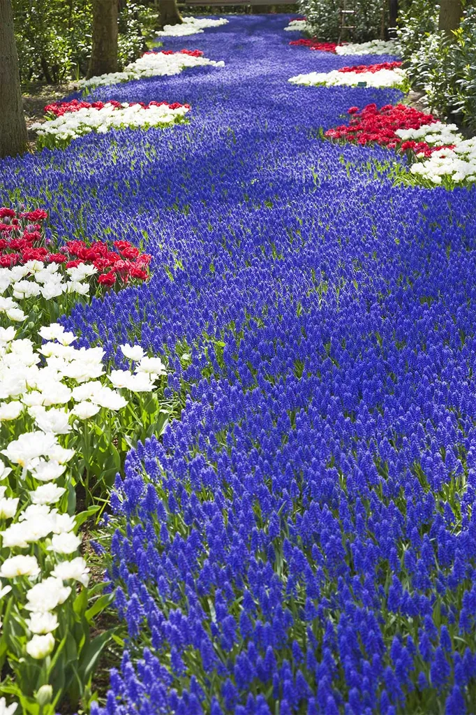Keukenhof flower exhibit