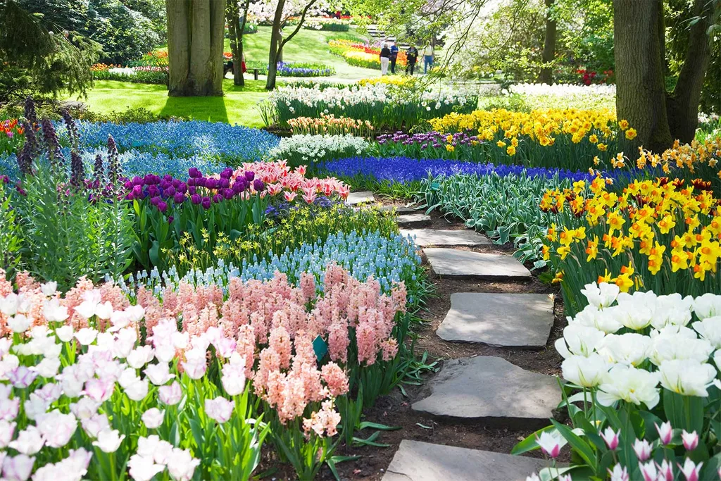 Keukenhof