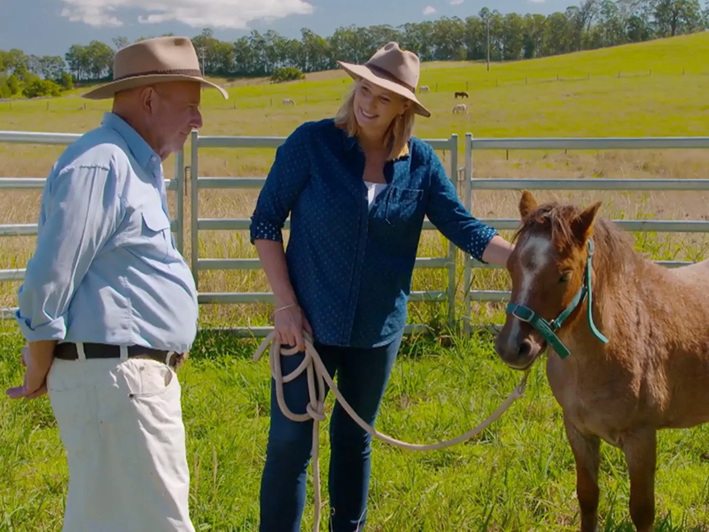 Take a tour around Dr Harry’s farm