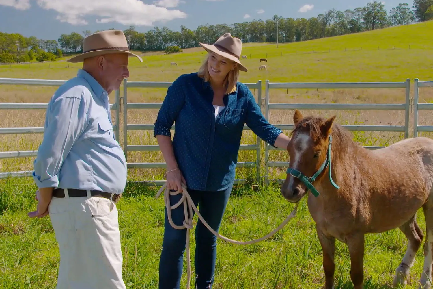 Take a tour around Dr Harry’s farm