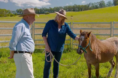 Take a tour around Dr Harry’s farm