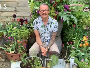 A feast of flowers at Virtual Chelsea Flower Show