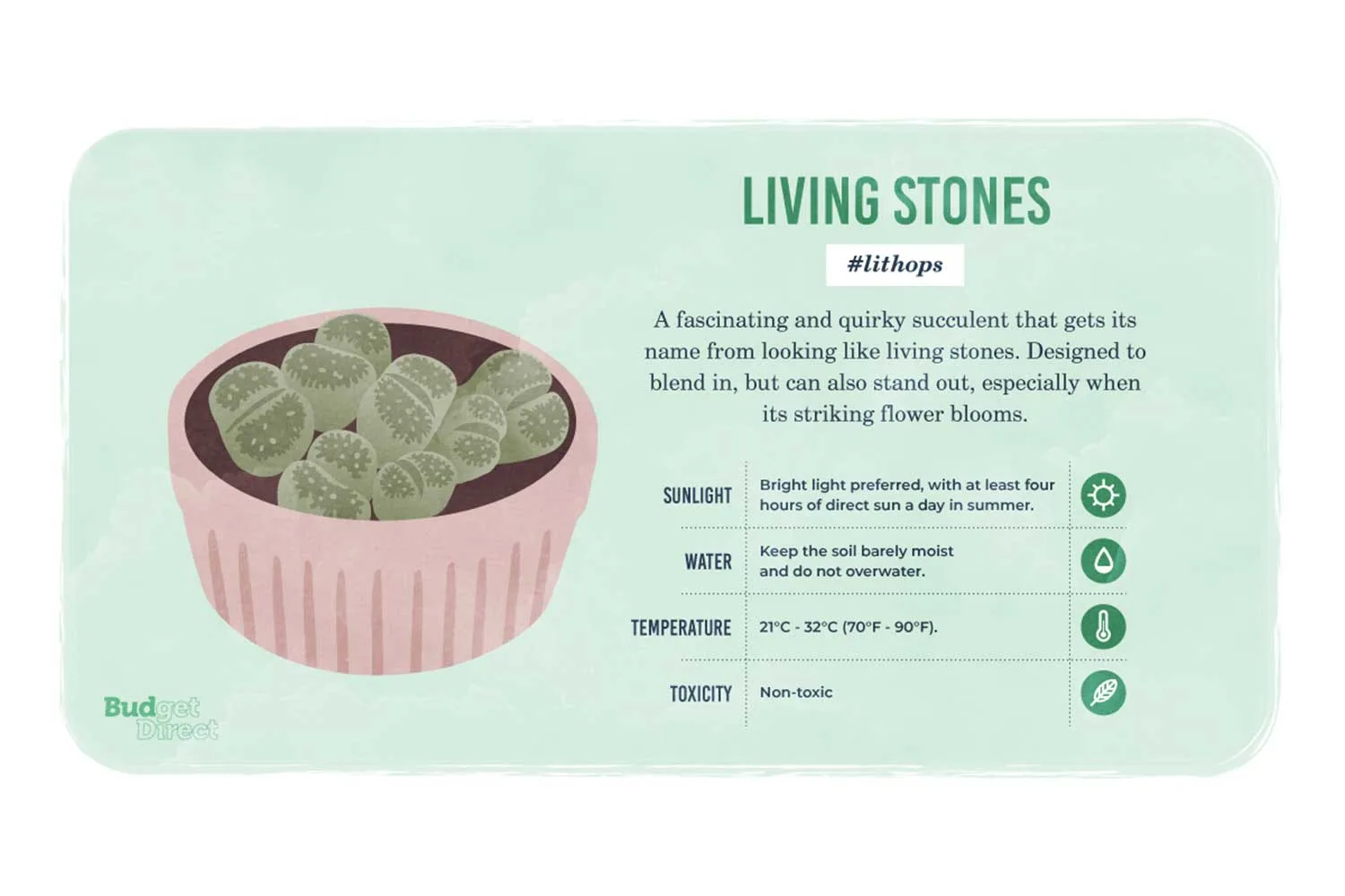 Living stones
