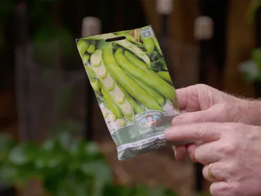 GRAHAM – BACKYARD GARDENING