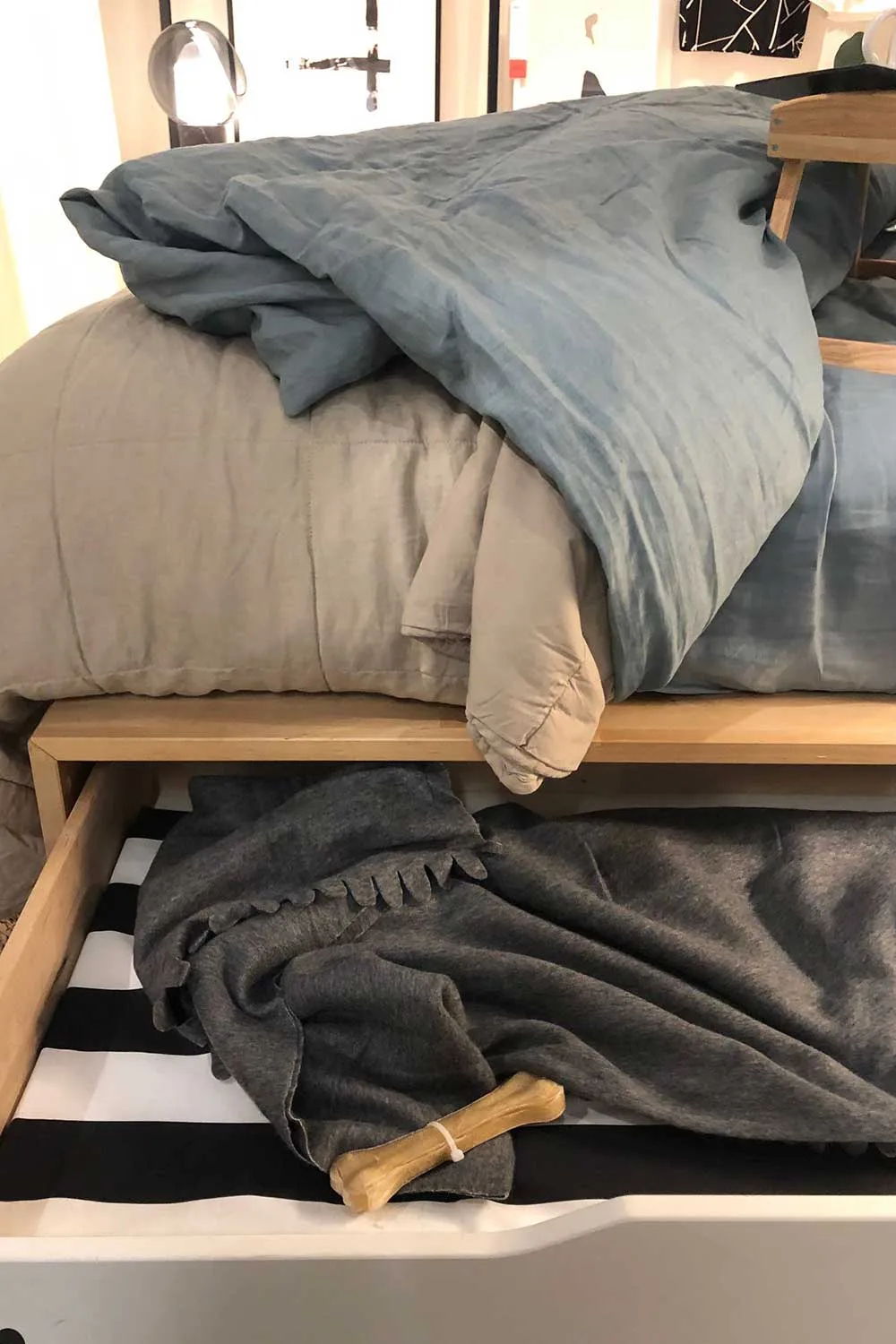 Ikea dog bed