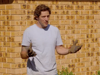 How to improve your garden without a lot of case