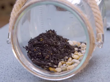 Melissa makes terrariums for kids