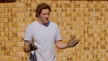 How to improve your garden without a lot of cash
