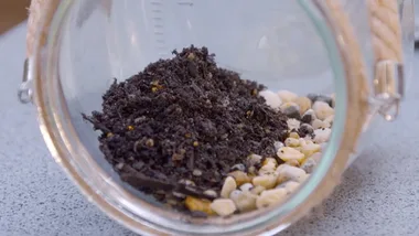 Melissa makes terrariums for kids