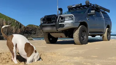 Dr Harry visits a dog who can’t stop digging